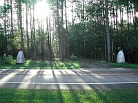 Glendale Memorial Nature Preserve: office driveway, green burial, green funeral, 32433