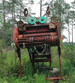 Green cemetery: "Miss Beady"